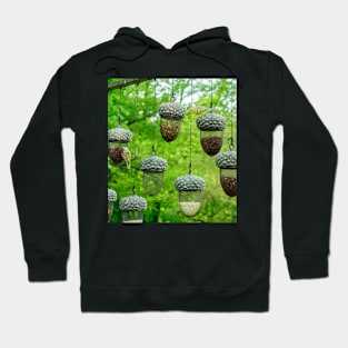 garden Hoodie